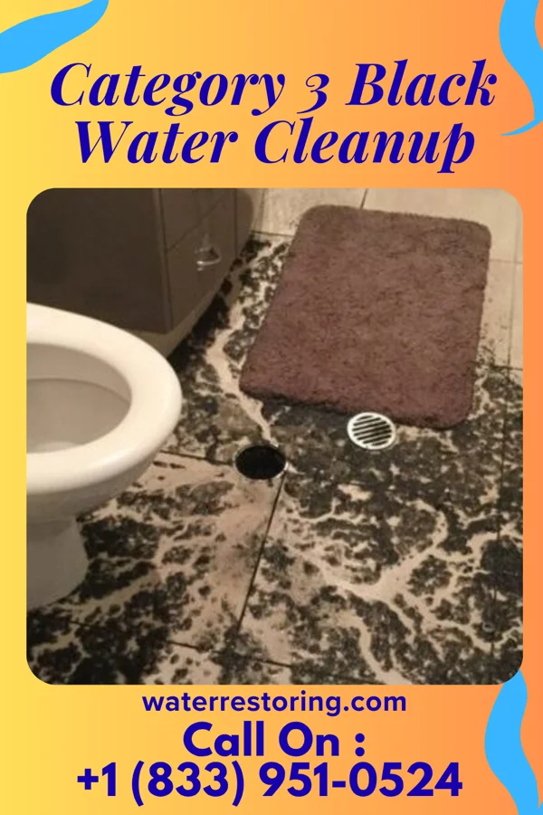 Category 3 Black Water Cleanup in Providence, AL